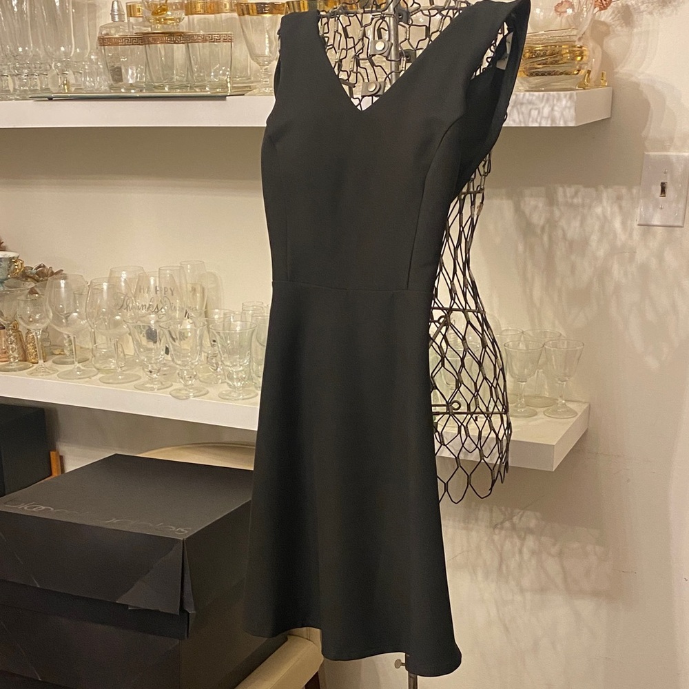 She + Sky Black V-Neck Fit & Flare Mini Dress
